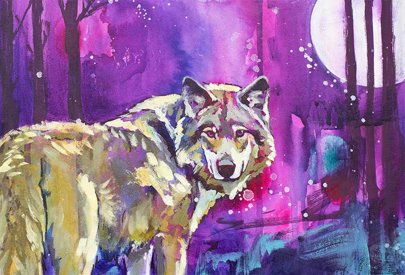 Krafttier Wolf Bilder Symbolik Bedeutung