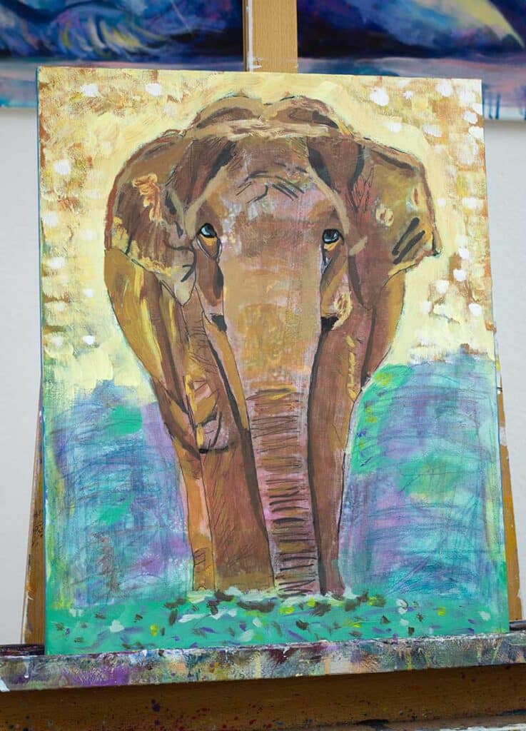 Teilnehmerbild Elefant