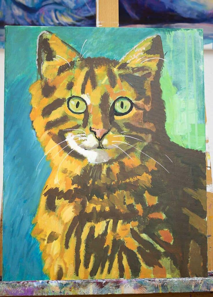 Teilnehmerbild Bild Katze